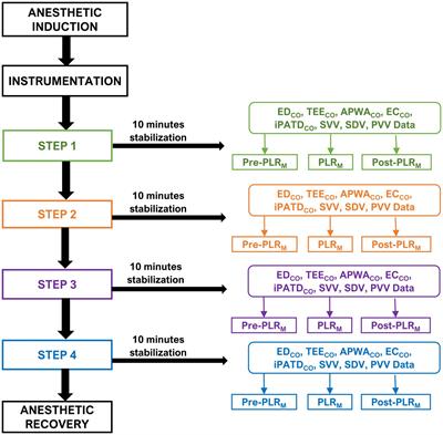 Performance of four cardiac output monitoring techniques vs. intermittent pulmonary artery thermodilution during a modified passive leg raise maneuver in isoflurane-anesthetized dogs